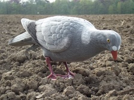 Beflockte Ganzk&ouml;rpertaube 40cm