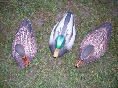 Featherlites Fusion Series Ducks 6 stuks Opblaasbare  - Eend &amp; Woerd