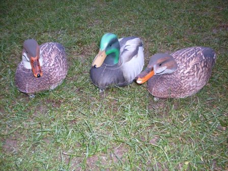 Featherlites Fusion Series Ducks 6 stuks Opblaasbare  - Eend &amp; Woerd