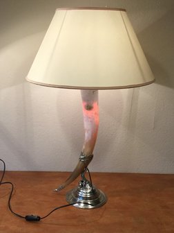 Lamp Hoorn