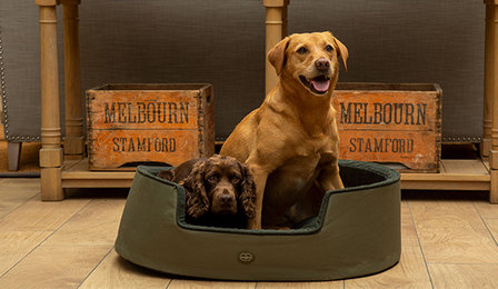 Le Chameau DOG BED