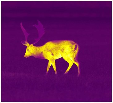 Pulsar Helion 2 XP50 PRO Warmtebeeld kijker