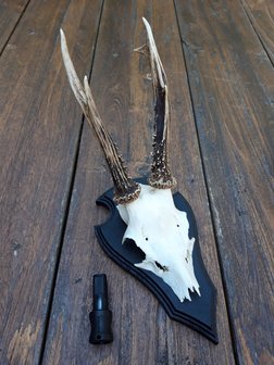 Nordik Roe Pro - Roe Call