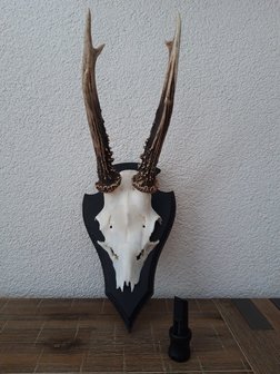 Nordik Roe Pro - Roe Call