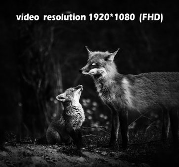 PARD Night Vision Scope Nv007V Nachtzicht Hand-/Voorzetkijker