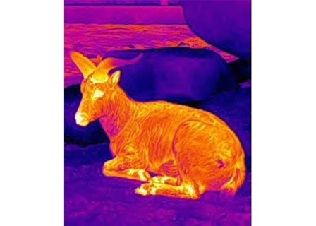 Lahoux Scope 35 Warmtebeeld Richtkijker NIEUW