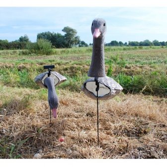 Windecoy Grauwe gans met kop 10 stuks