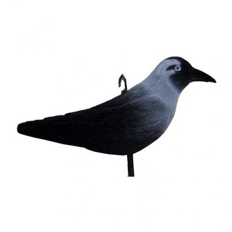 Kawka flokowana 32 cm
