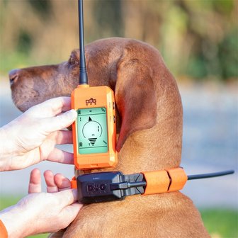 DogTrace GPS X20 Hundeortung für die Jagd - Hundeortungsgerät für Profis, ORANGE