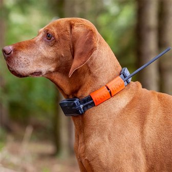 DogTrace GPS X20 Hundeortung für die Jagd - Hundeortungsgerät für Profis, ORANGE