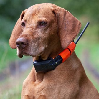 DogTrace GPS X20 Hundeortung für die Jagd - Hundeortungsgerät für Profis, ORANGE