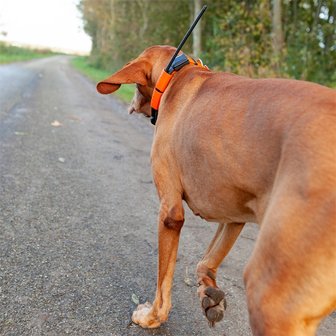 DogTrace GPS X20 Hundeortung für die Jagd - Hundeortungsgerät für Profis, ORANGE