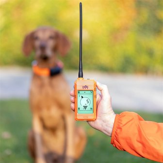 DogTrace GPS X20 Hundeortung für die Jagd - Hundeortungsgerät für Profis, ORANGE