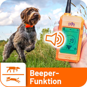 DogTrace GPS X20 Hundeortung für die Jagd - Hundeortungsgerät für Profis, ORANGE