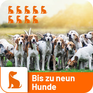 DogTrace GPS X20 Hundeortung für die Jagd - Hundeortungsgerät für Profis, ORANGE