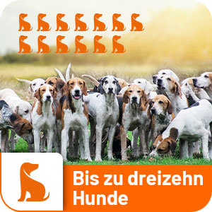 DogTrace GPS X30 Hundeortungsgerät für die Jagd - Hundeortung