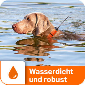 DogTrace GPS X30T Hundeortung mit Impulsfunktion - Hundeortungsgerät