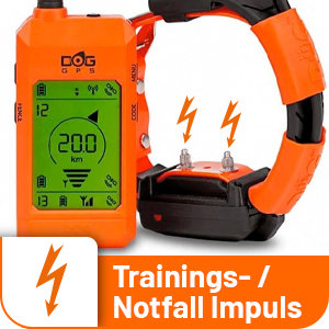 DogTrace GPS X30T Hundeortung mit Impulsfunktion - Hundeortungsgerät