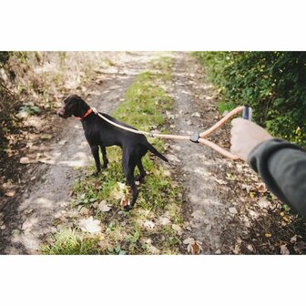 Dog leash Orange 130 cm