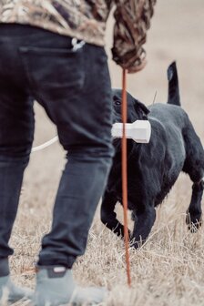 PerfectHold HexaBumper Rubber Honden Dummy