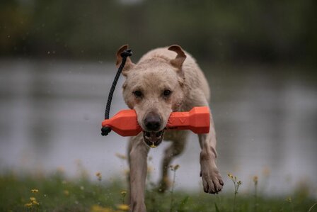 PerfectHold HexaBumper Dog Rubber Toy