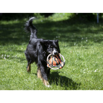Honden frisbee Camo Farm-land