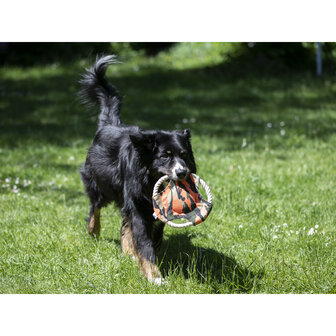 Dogs Frisbee Camo Farm-land