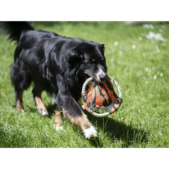 Dogs Frisbee Camo Farm-land