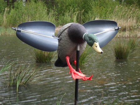 Drop-in-Ente mit Fl&uuml;geln und Pin