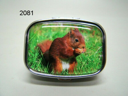  squirrel pillbox