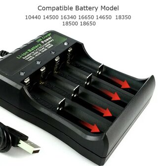 Chargeur de batterie 4-Slots Smart Charger BMAX