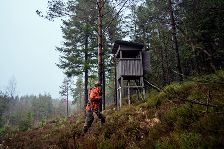 H&auml;rkila Wildboar Pro camo HWS Jas