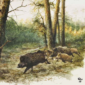 20 napkins Wild boar Hunt