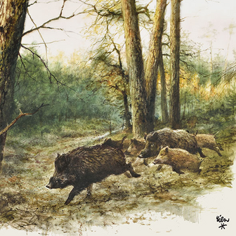 20 Servietten Wildschwein Jagd