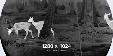 Hikmicro Stellar SX60L 3.0 Warmtebeeld Richtkijker LRF (Afstandsmeter)