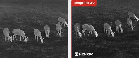 Hikmicro Habrok Pro HQ50LN Warmtebeeld en Dag/Nachtzicht Binocular (940nm)