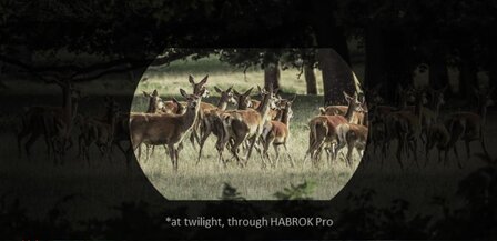 Hikmicro Habrok Pro HQ50LN Warmtebeeld en Dag/Nachtzicht Binocular (940nm)