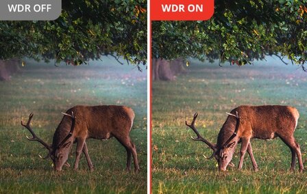 Hikmicro Habrok Pro HX60L Warmtebeeld en Dag/Nachtzicht Binocular (850nm)