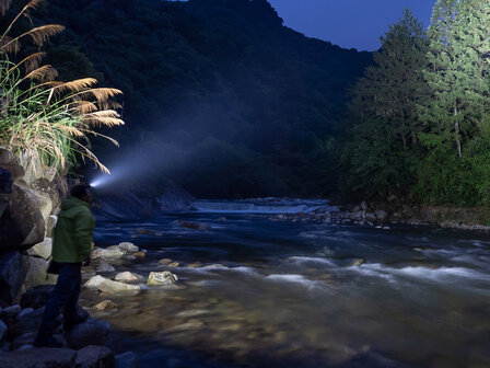 Olight Headlamp Perun 3 black