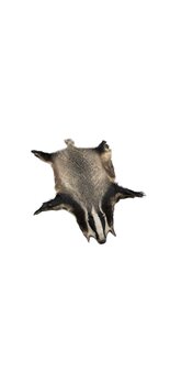 The Badger Fur 11003