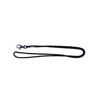 Lanyard