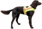 Dog safety vest Large	