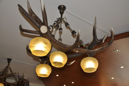 Lampa wisząca Red Deer Triangle 4 lampy