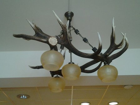 Lampa wisząca Red Deer Triangle 4 lampy