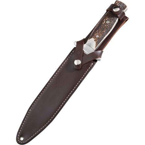 WIld Boar / Deer Knife & Belt Wild Boar Hunter - PARFORCE
