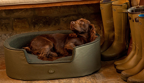 Le Chameau Honden Mand / Bed