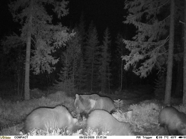Compact 4G LTE Wildcamera / Bewakingscamera Cloud met live video + LinckEazi app