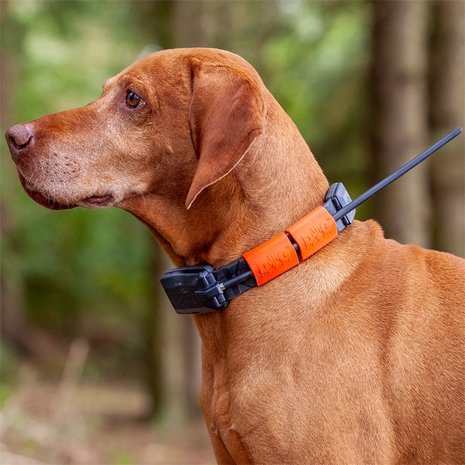 DogTrace GPS X20 Hundeortung für die Jagd - Hundeortungsgerät für Profis, ORANGE