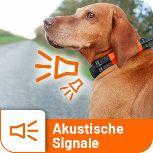 DogTrace GPS X30 Hundehalsband Additional Transmitter / Receiver