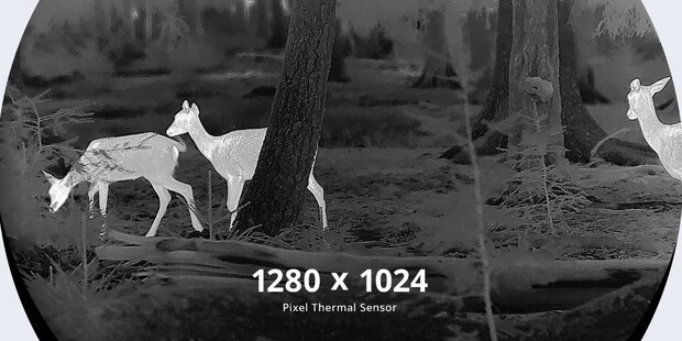 Hikmicro Stellar SQ50L 3.0 Warmtebeeld Richtkijker LRF (Afstandsmeter)